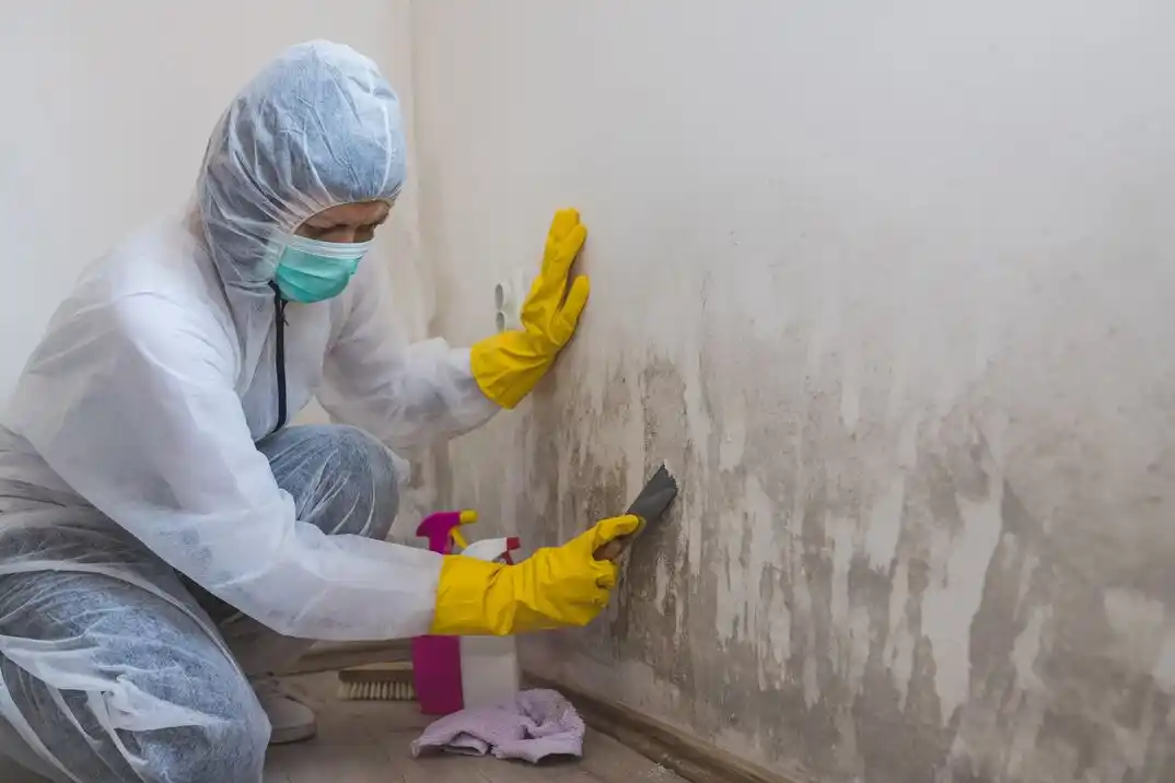 water damage restoration service Parkview Hills